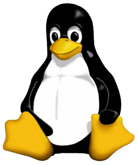 linux-penguin-big_origpreview.jpg